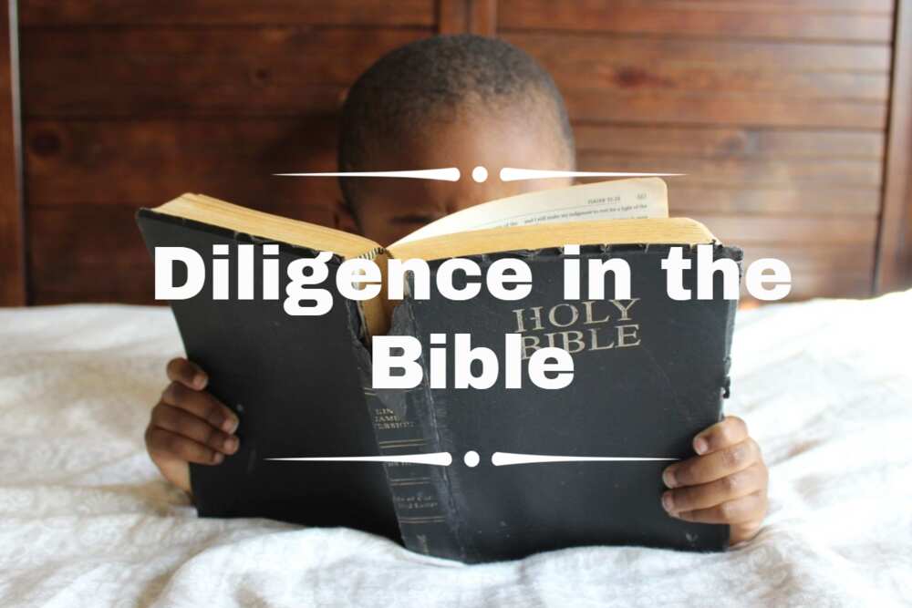 diligence in the Bible