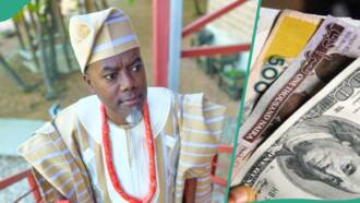 “N1,350 to $1”: Reno Omokri makes naira to dollar exchange rate admission