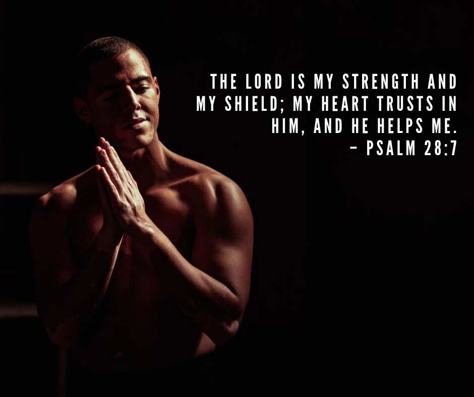 bible quotes about strength