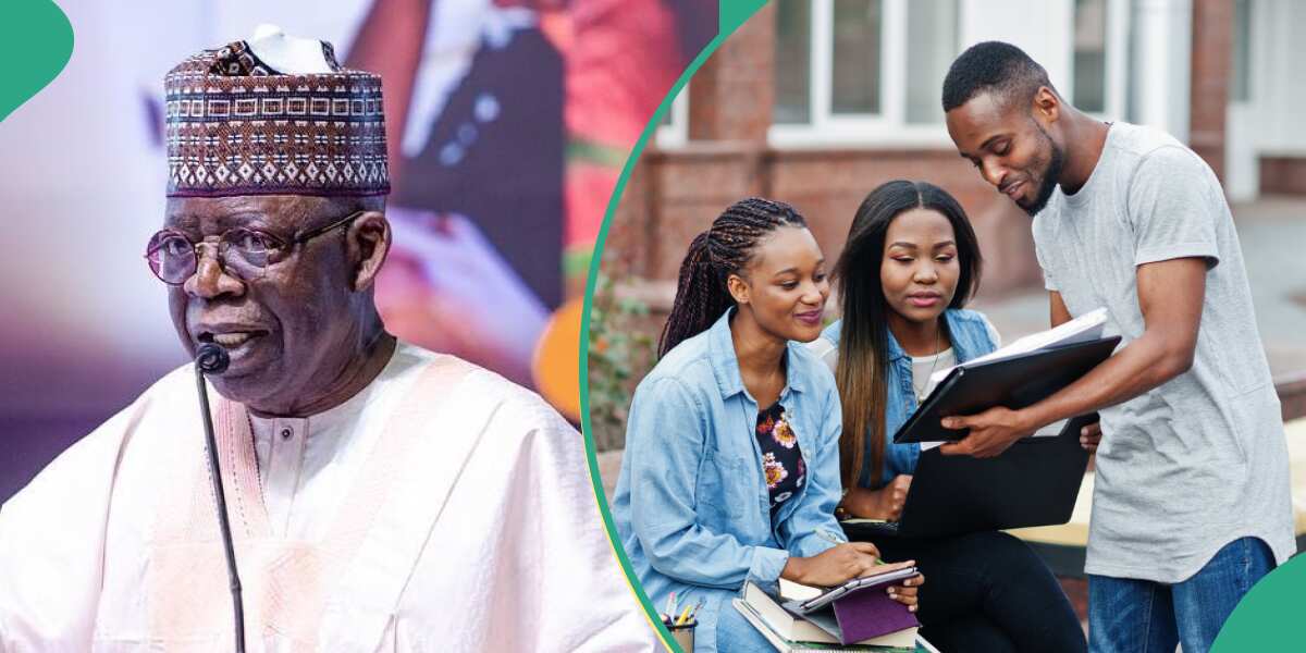 Just in: Tinubu's FG gives fresh update on student loan application portal, excites Nigerians