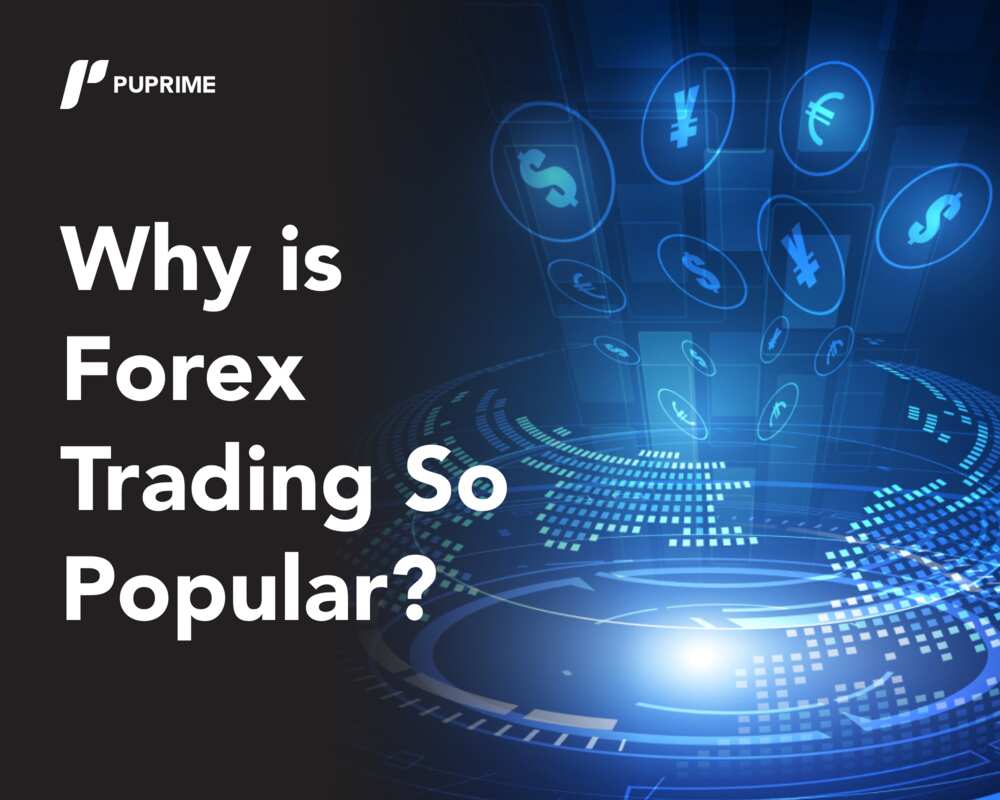 Why is Forex Trading Getting So Popular in Nigeria?