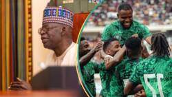 Nigeria vs Cote d'Ivoire: Moment Tinubu celebrates as AFCON final reaches half time