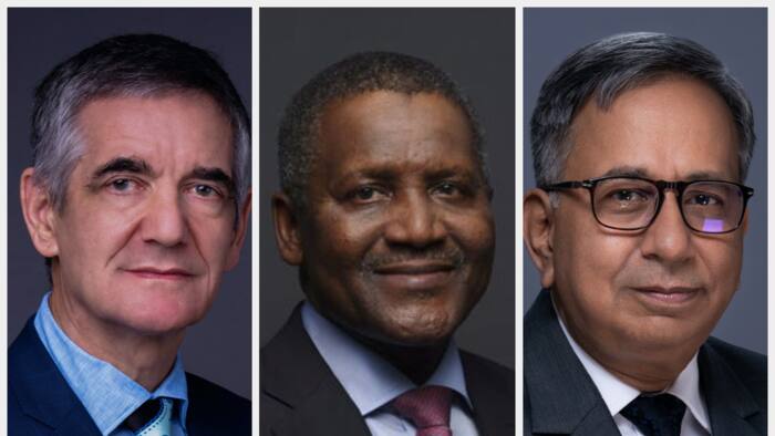 Dangote cement gets new CEO as Michel Puchercos retires after three years as head