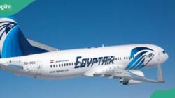 Nigerian passenger dies aboard Egypt Air Flight, corpse ‘dumped in Cairo’