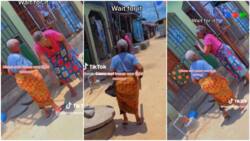 2 old Nigerian women argue with themselves in fluent Pidgin English, exchange words, funny video goes viral