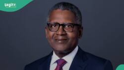 Dangote speaks on how much tax he pays as FG plans higher taxes for wealthy Nigerians
