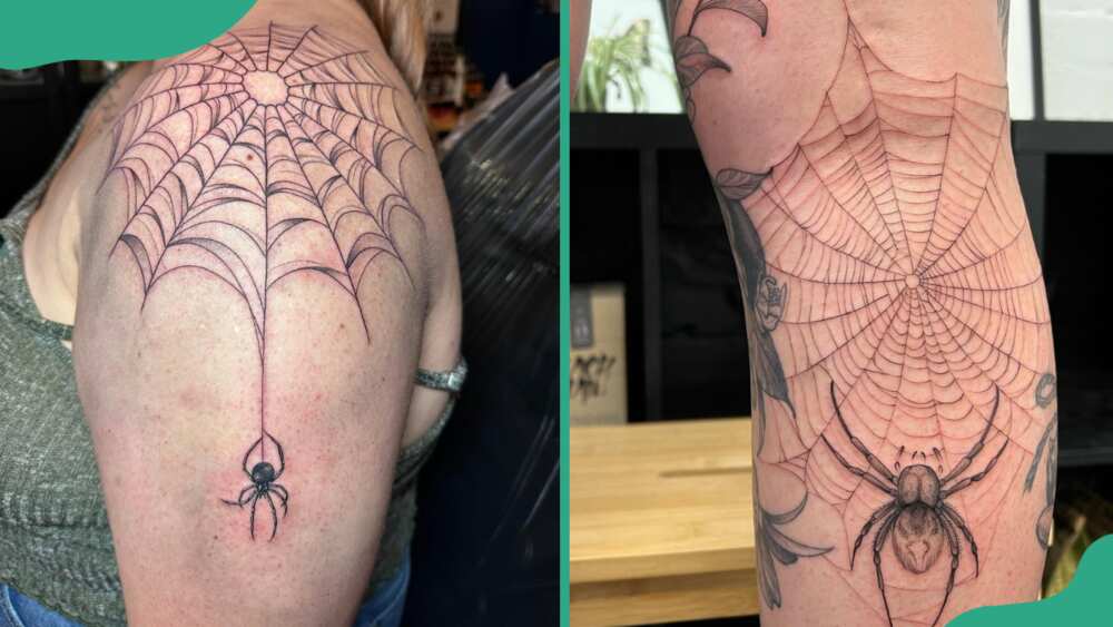 Spider web tattoos