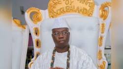 How kidnap victims in southwest paid N3bn in 2 years, Gani Adams reveals