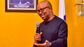 2023 presidency: Peter Obi unveils manifesto, highlights crucial plans for Nigerians