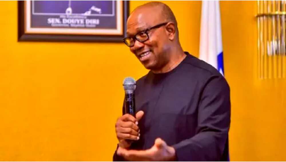 Peter Obi, Labour Party, 2023 presidential election, Doctors and Nurses for Peter Obi