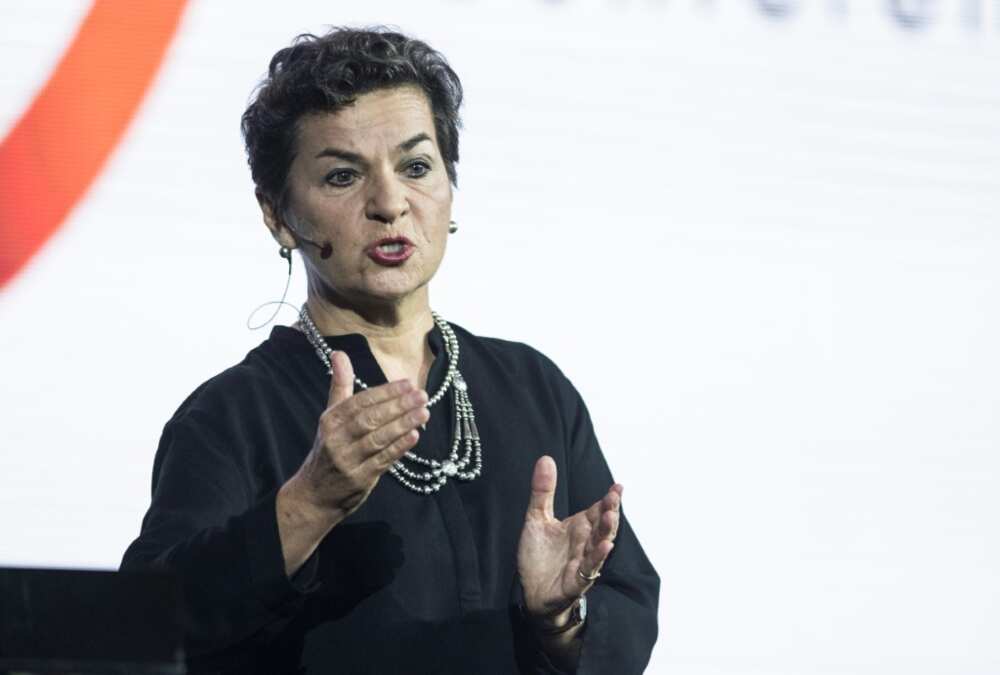 Former leading UN climate official Christiana Figueres was one of the letter's signatories