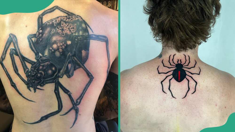 Back spider tattoos