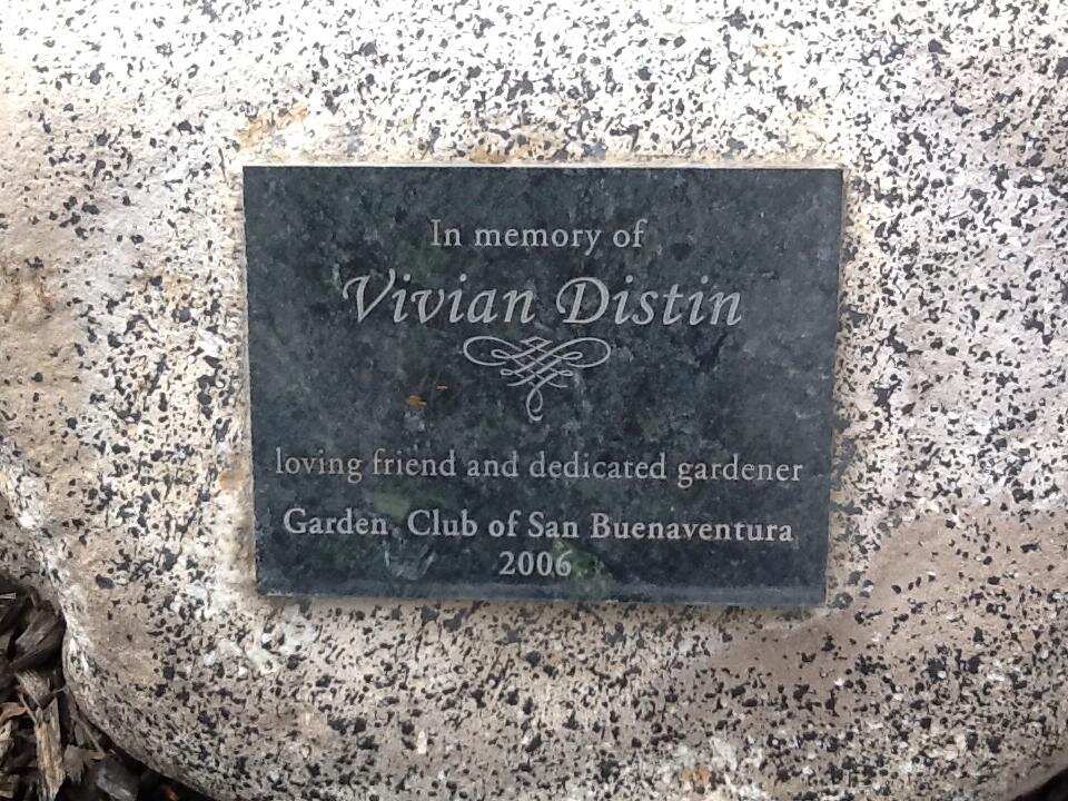 Vivian Liberto bio Vivian Liberto bio