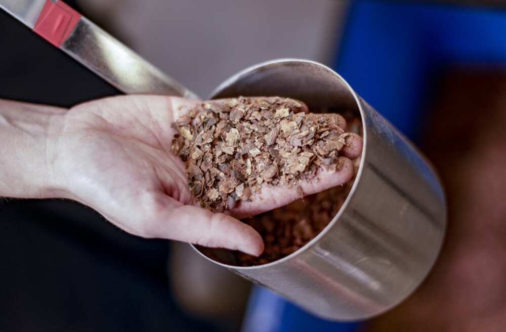 A fresh black gold? Biochar from cocoa bean shells A fresh black gold? Biochar from cocoa bean shells
