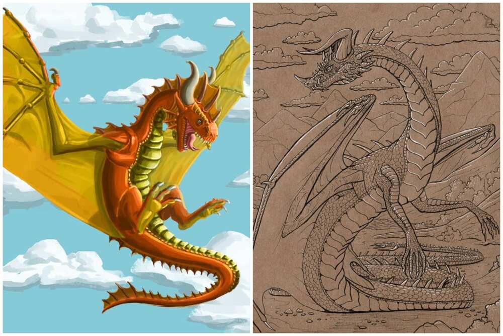 Different types of dragons from mythology and popular culture