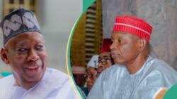 Why Kano govt was able to inflict “huge political damage” on Ganduje, top APC chieftain speaks