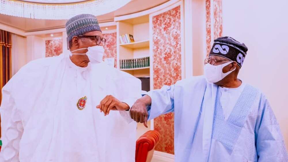 Tinubu, Buhari, 2023 polls