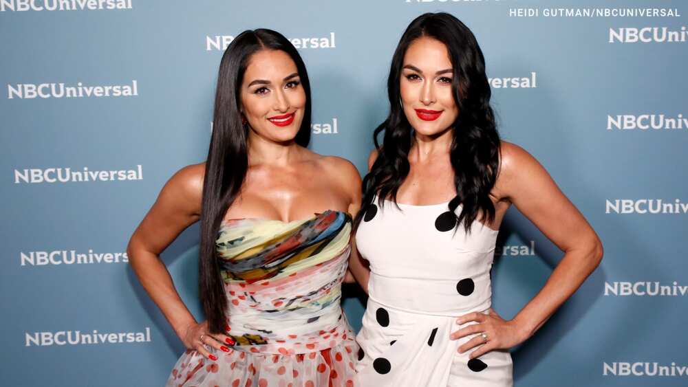 Nikki Bella - Age, Bio, Birthday, Family, Net Worth