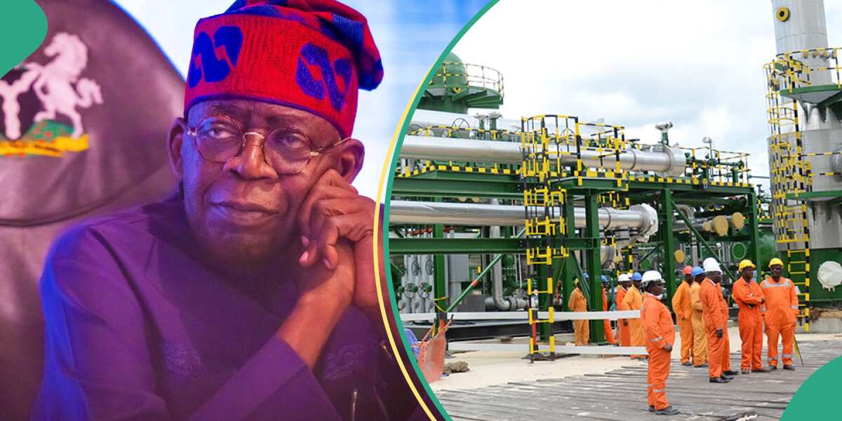 Full List: Tinubu Moves To Sell Government's Stake In NNPC, 19 Other ...