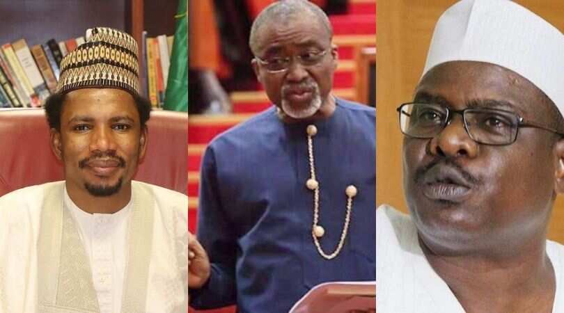 Abaribe, Ndume and 4 other Nigerian senators who were very vocal in 2020