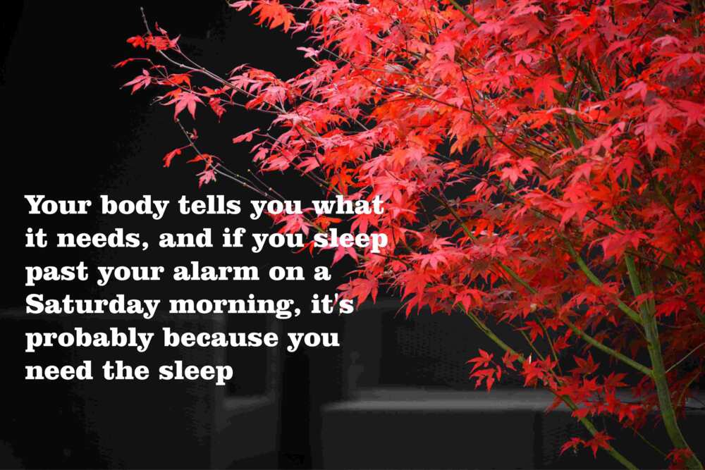 happy Saturday quotes happy Saturday quotes