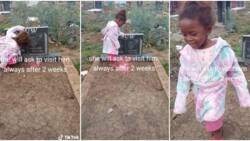 "This broke my heart": Little girl innocently talks to her late father's grave in touching video, many react