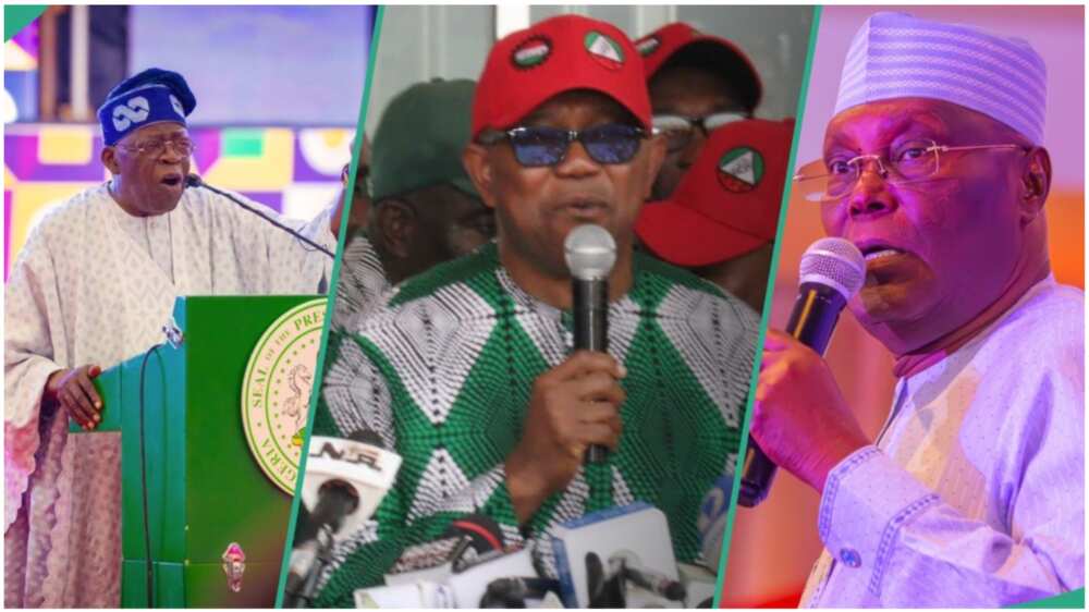 Atiku Abubakar/Peter Obi/Bola Tinubu/APC/PDP/2023 Election/Labour Party/Primate Ayodele/Satguru Maharaj