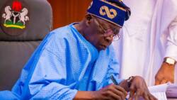 Just in: Tinubu reportedly set to appoint 71-year-old Abdu Aboki as ICPC chairman