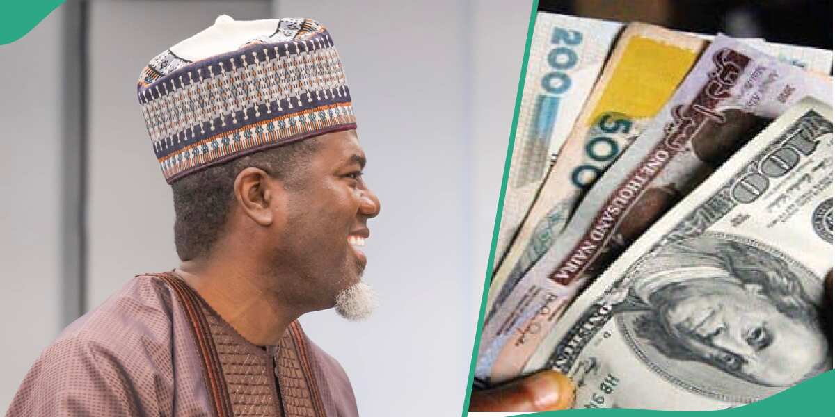 REVEALED: Latest naira to US dollar exchange rate in Nigeria