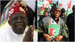 2023 presidency: Buhari's minister Festus Keyamo reveals how Peter Obi helped Tinubu win