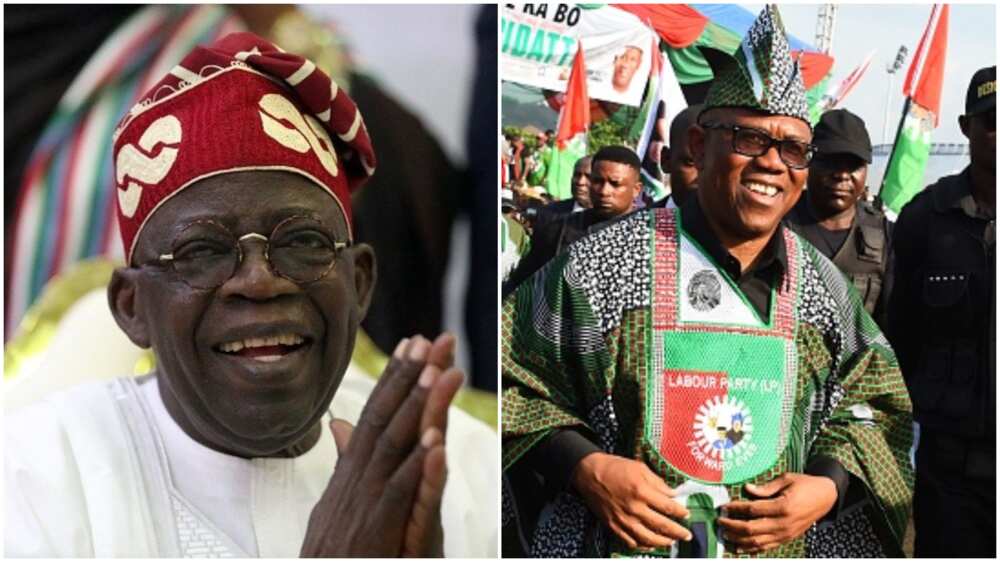 Tinubu and Peter Obi/Stears Poll/2023 Presidential Election
