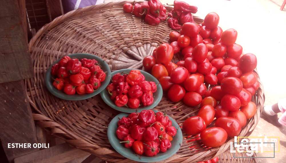 Perishable goods like tomatoes and pepper have become very expensive in the market as some traders lament high cost of purchase. Photo credit: Esther Odili