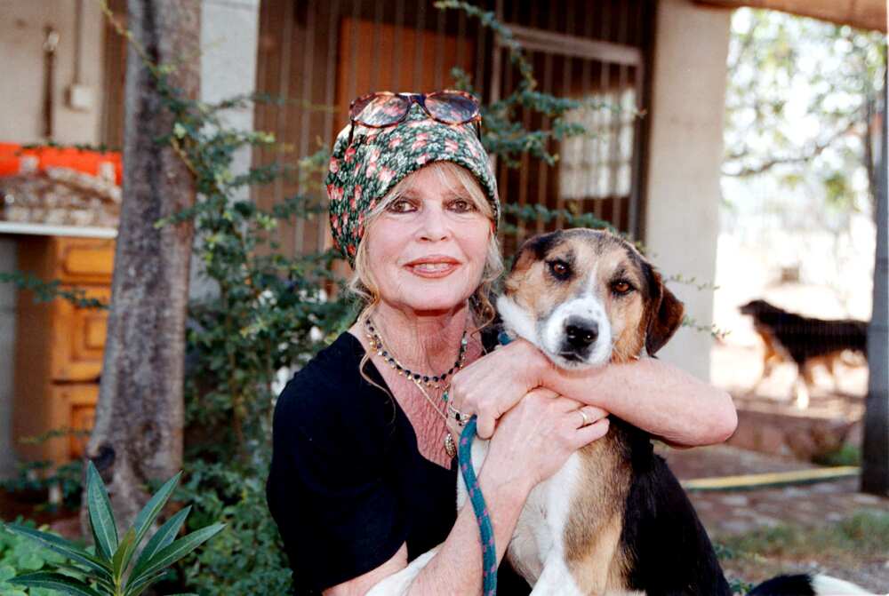 La star Brigitte Bardot adore les animaux
Photo : Charly Hel/Prestige/Getty Images