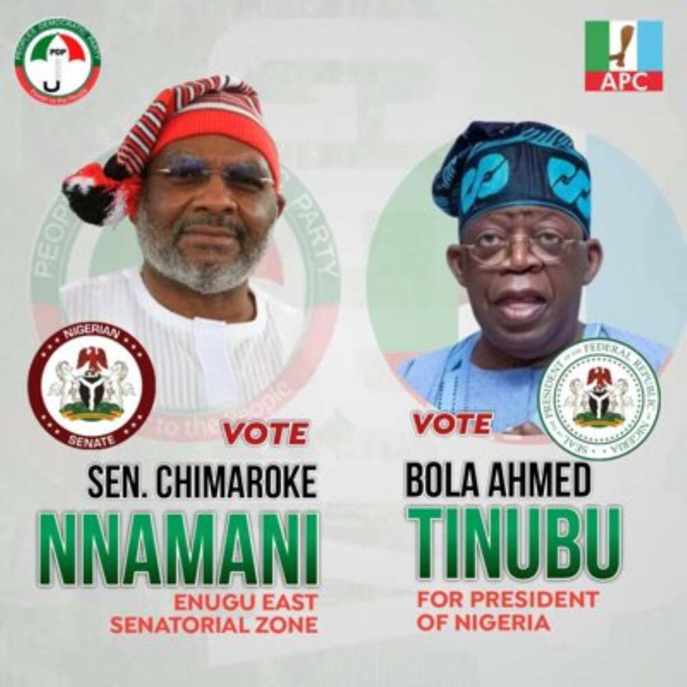 Chimaroke Nnamani insists on Tinubu