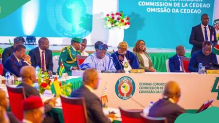 Coup: ECOWAS takes crucial step to restore constitutional order in Niger Republic
