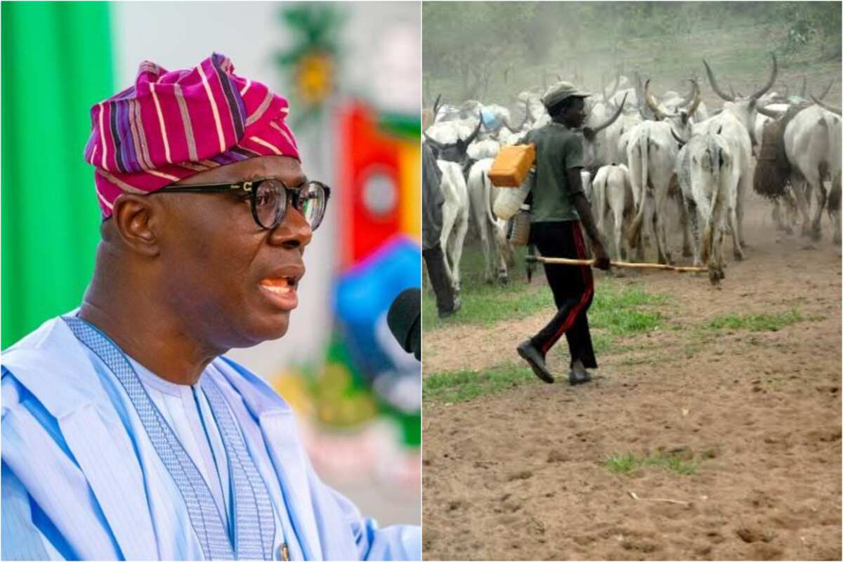 Lagosians consumes 1.8m heads of cattle annually, Says Commissioner