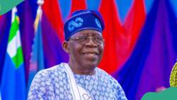 BREAKING: Tinubu appoints former PDP chairman, others as heads of key govt agencies