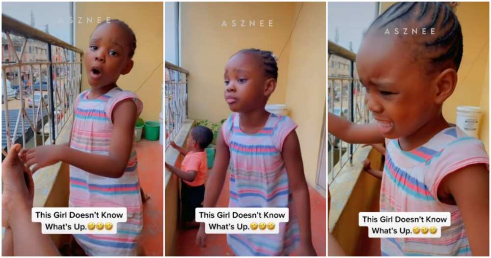 The Time Has Come Little Girl Insists Almost Teary As She Begs Mum To Born A New Baby Video Causes Stir Legit Ng