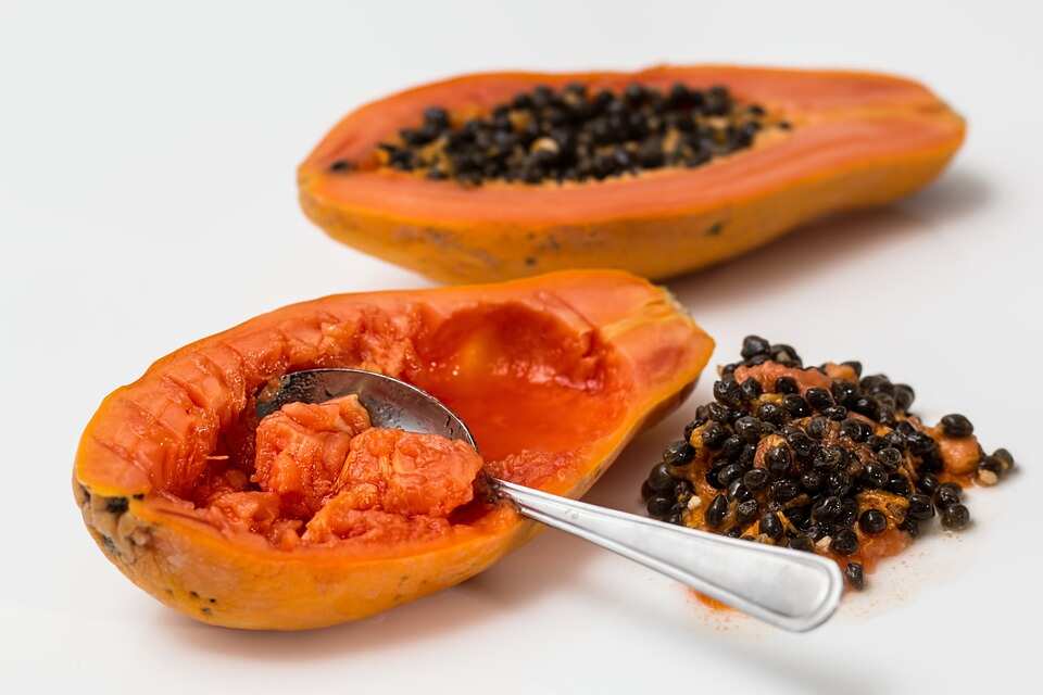 Papaya seeds Papaya seeds