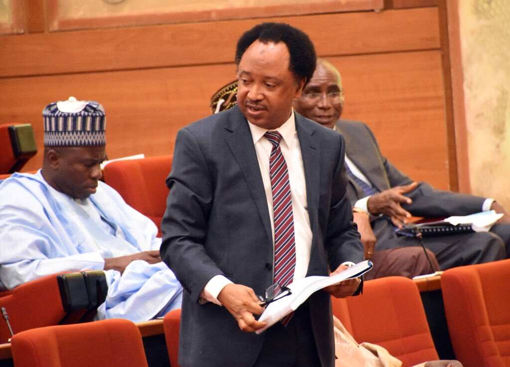 Image result for Senator Sani reveals how to avoid getting set up by cabal at airports