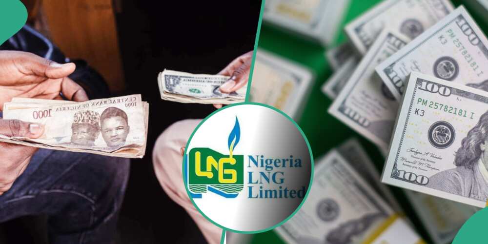 Nigeria expects $10 bln in forex inflows in weeks - finance