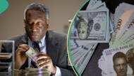 Naira: "What Nigerians must do to make dollar fall", Reno Omokri
