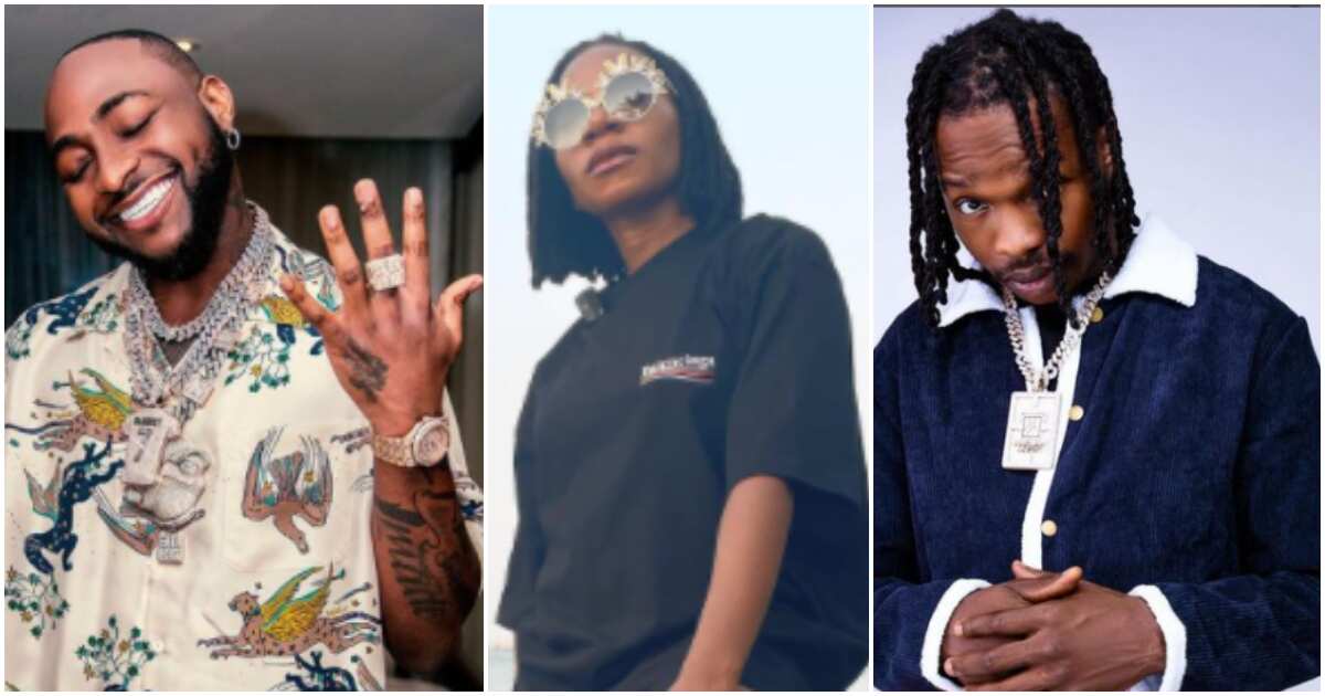 Davido, Naira Marley, Asa, 7 other Nigerian celebrities with dual citizenship and their other countries