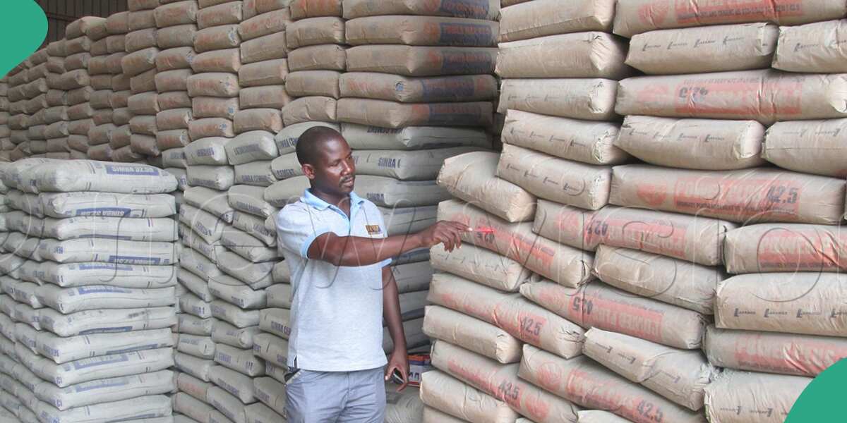 Pricing turns cement makers' new battleground - Businessday NG