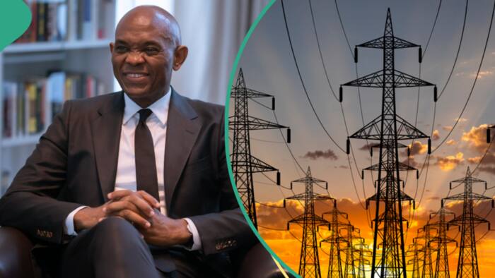 Tony Elumelu explains why Nigeria lacks proper electricity, gives solutions