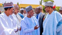 Buhari has laid a solid foundation to alleviate poverty, says governor Masari