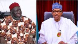 Ohanaeze lambasts Buhari’s statements over southeast killings