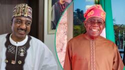 SDP formed movement with PDP, NNPP, others against Tinubu? Opposition party speaks out