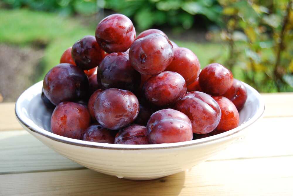 Foods to help fertility Foods to help fertility