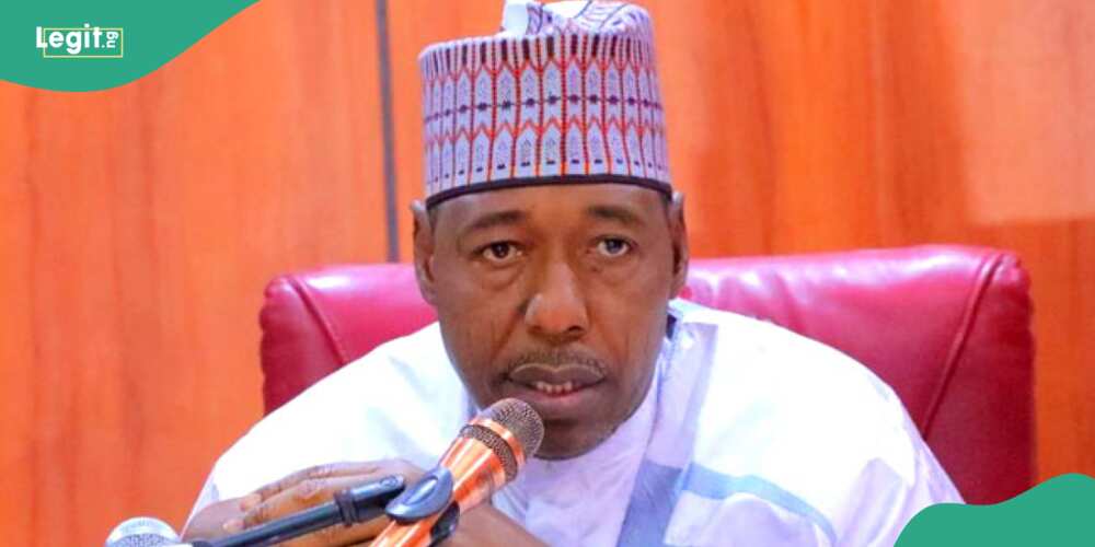 Insecurity, Governor Babagana Zulum of Borno State, Boko Haram, Youths, ISWAP